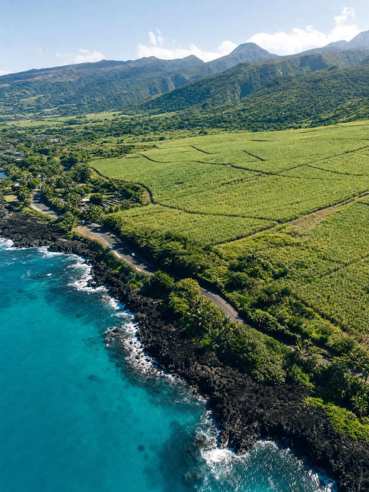 Vue aérienne du littoral et des reliefs de La Réunion